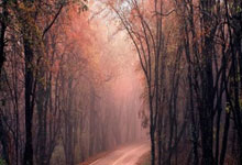 雷速体育官网：帆船——国际帆船大奖赛旧金山站：西班牙队夺冠.