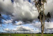 雷速体育官网：葡体官方：昆达和埃苏戈将以总计7440万欧元加盟切尔西.