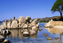 克星，各级国字号球队个月内已经负沙特，且比分均为-.